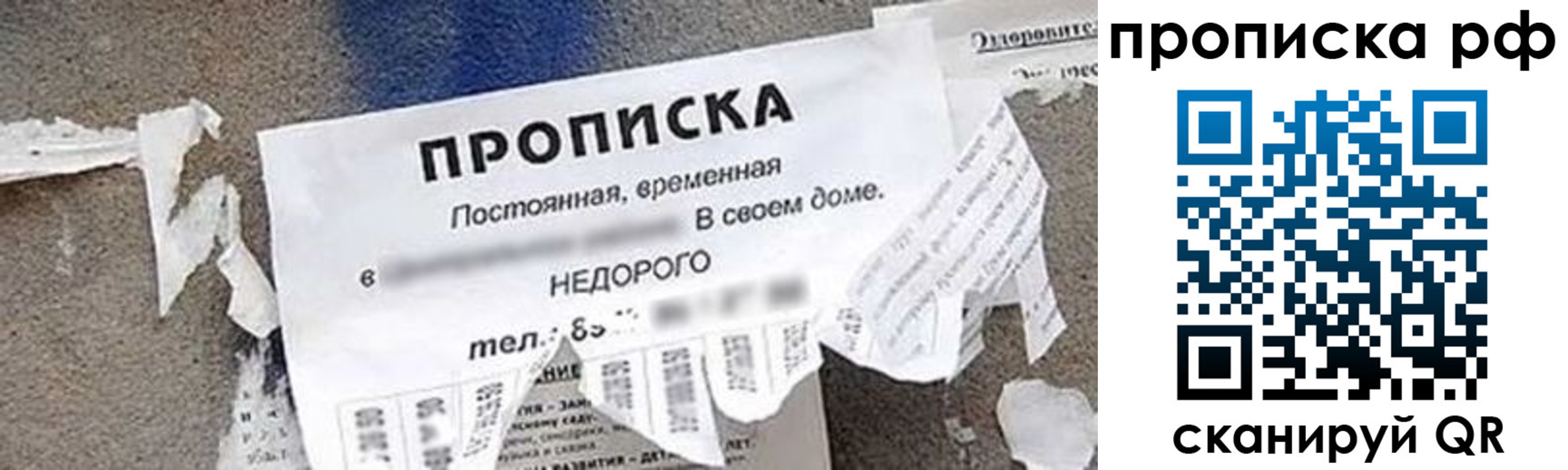 где прописаться в Куртамыше
